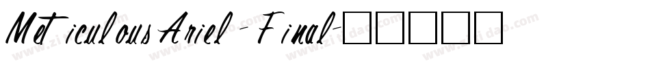 Meticulous Ariel - Final字体转换